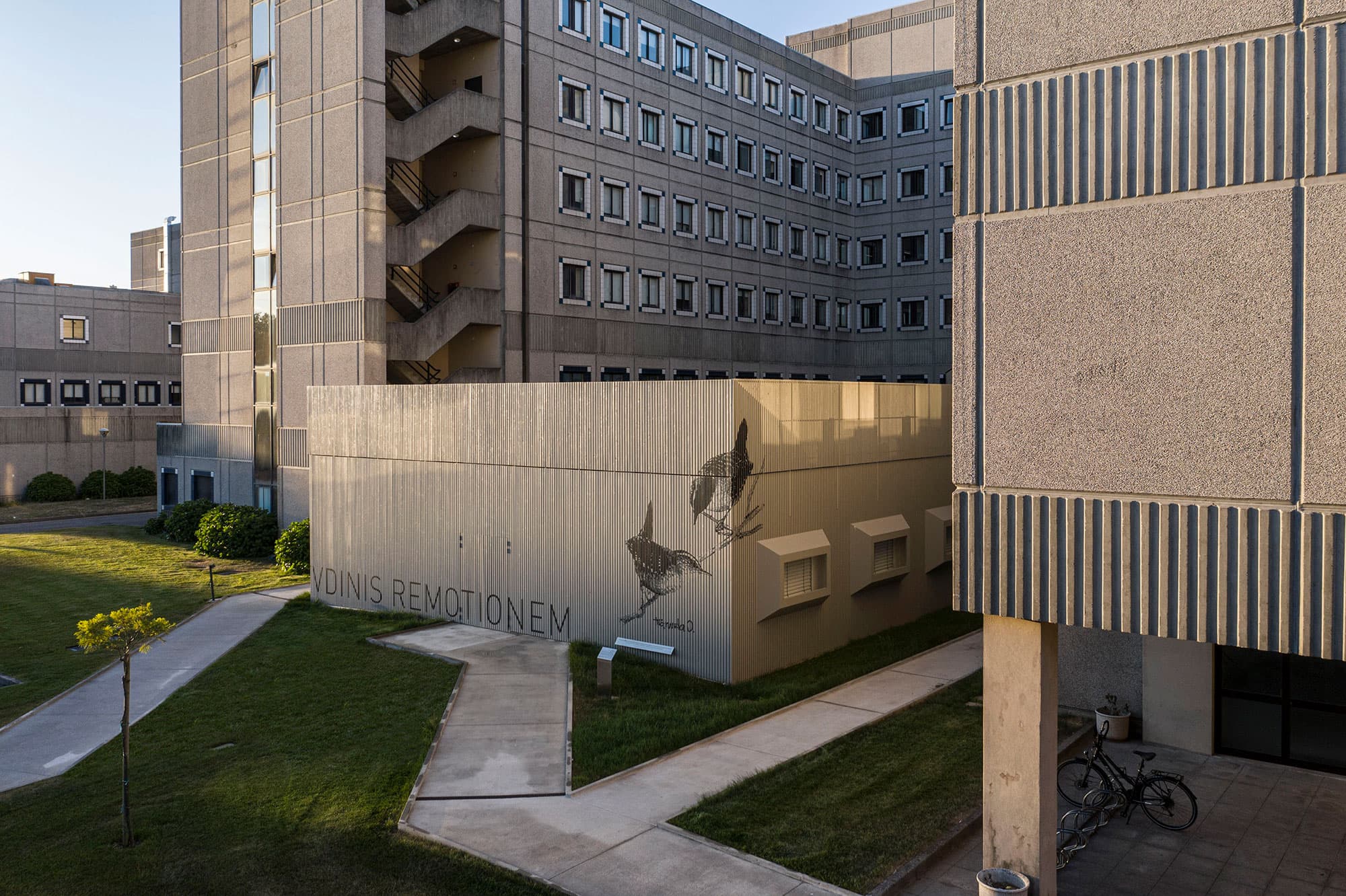 Ventura + Partners conclui nova unidade de cuidados intensivos do Hospital Pedro Hispano