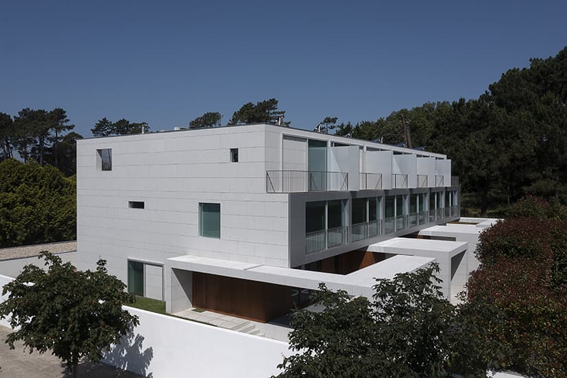 Magnólias